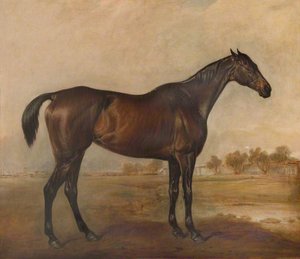 A Bay Racehorse Called 'nightmare' — John Ferneley, Snr