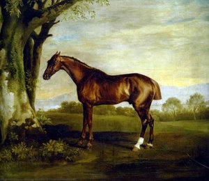 A Chestnut Racehorse — George Stubbs