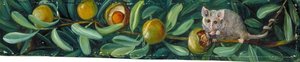Sandal Wood And Opossum Mouse, Zachodni Australia — Marianne North