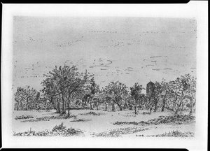 Der Obstgarten — James Ensor