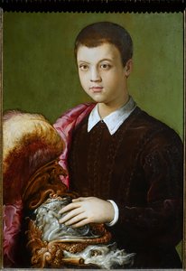 Ritratto Di Un Giovane Aristocratico (possibilmente Gian Battista Salviati) — Francesco Salviati