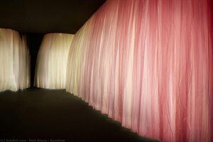 Sunshine — Kiwon Park