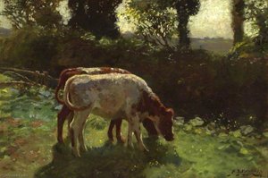 Two Calves grazing by a Hedge