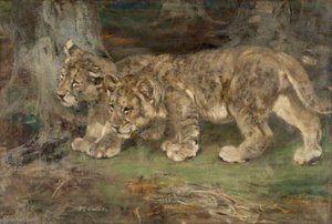 Lion Cubs, Suspicion — William Walls