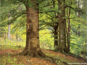 Beech Trees — Teodoro Klement Stiil