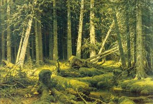 Untitled — Ivan Ivanovich Shishkin