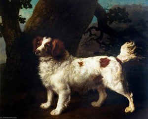 A Clumber Spaniel — George Stubbs