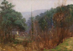 Devon Pinewood — Benjamin Haughton