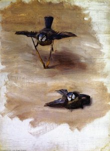 Studii De O Pasăre Moartă — John Singer Sargent