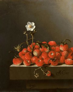 Still Life With Wild Strawberries — After Adriaen Coorte
