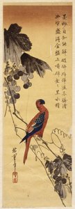 Papegaai En Wijnranken — Hiroshige