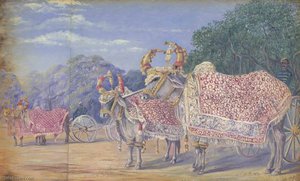 Dekoreret Oxer Tegning Statskanone Vogne, Baroda — Marianne North