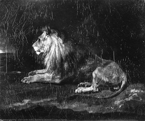 Lion In Repose — Théodore Géricault