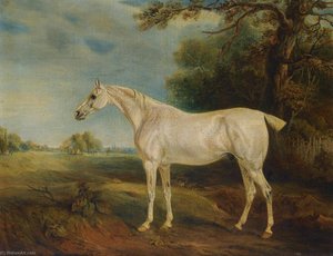 The Marquess Of Huntly's Fleabitten Grey Hunter — John Ferneley, Snr