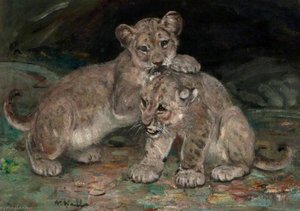 Lion Cubs — William Walls