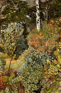 Scena Di Giardino. Port Glasgow — Sir Stanley Spencer