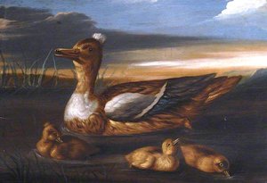 Duck And Its Brood — Francis Barlow