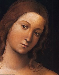 Venus (detail) — Lorenzo Costa (the Elder)
