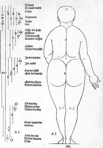 Vista Posteriore Della Femmina — Albrecht Dürer