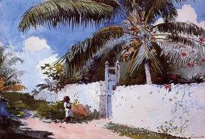 Un Giardino A Nassau — Winslow Homer