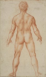 Un Uomo Nudo In Piedi — Leonardo Da Vinci
