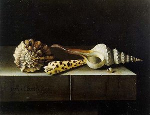 Still Life With Shells — After Adriaen Coorte