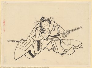Nedeterminat (d2x2aa) — Hokusai