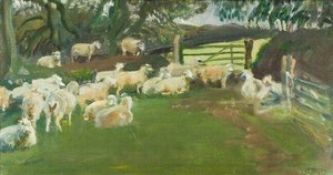 Pecore Dell'exmoor — Sir Alfred James Munnings