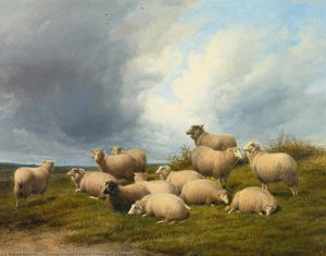 Sheep In A Pasture — Thomas Sidney Cooper