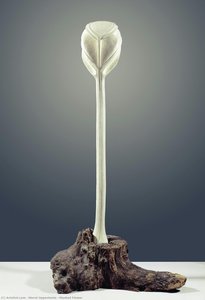 Masked Flower — Meret Oppenheim