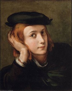Portrait Of A Young Man — Parmigianino