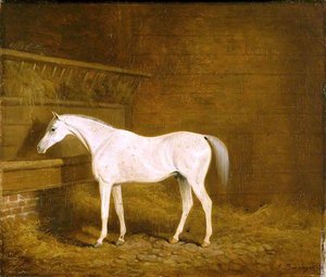 A Grey Racehorse In A Stable — James Barenger