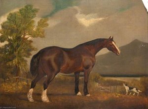 Horse And Dog — James Howe