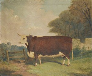 A Prize Cow By A Gate — Richard Whitford