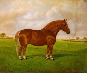 william albert clark