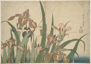 燕子花 — Hokusai