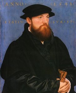 Portrait Of De Vos Van Steenwijk — Hans Holbein The Younger