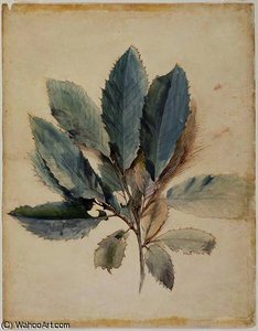 Chestnut Leaves — John Ruskin