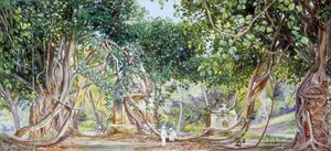 Bauhinia Creeper Crushing Tombs, Saharanpur, Indie — Marianne North