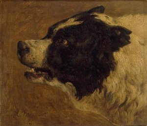 Tête de chien