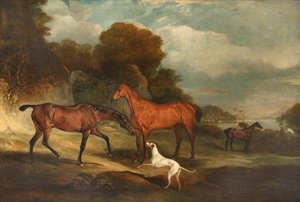 Two Racehorses, Called 'the Sheriff' And 'bensh' — John Ferneley, Snr