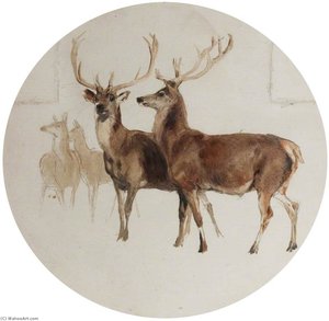 Deer In A Landscape (studies Of Deer) — Sir Edwin Henry Landseer