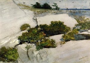 Acantilados De Maine — Winslow Homer