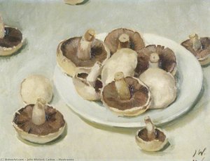 Mushrooms