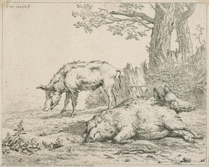 Three Swine Near A Hedge. — Karel Dujardin