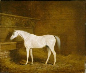 A Grey Racehorse In A Stable — James Barenger