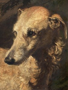 Testa Di 'driver', Un Deerhound Appartenente Al 5° Duca Di Gordon — Sir Edwin Henry Landseer