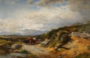 Siabod Flats, Near Betws-y-coed — John James Syer