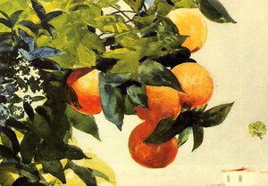 Naranjas En Una Rama — Winslow Homer