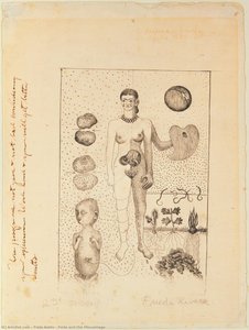 Frida Y El Aborto — Frida Kahlo